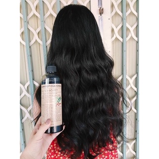 Dầu Gội Bồ Kết Thiên Nhiên – Giảm Rụng Tóc, Sạch Da Đầu, Tóc Mềm Mượt