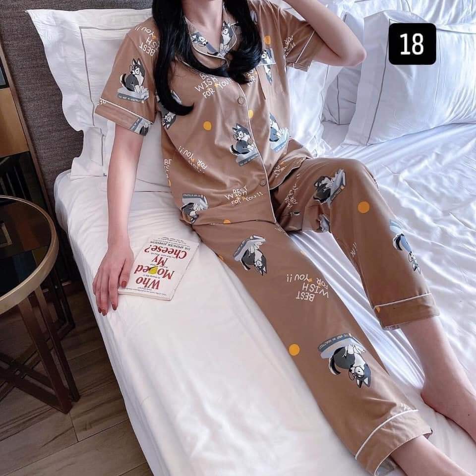 (B022)Đồ bộ PIJAMA xuân hè cho các bạn nữ áo ngắn quần dài chất mềm đẹp thoáng mát kiểu dáng trẻ trung thời trang