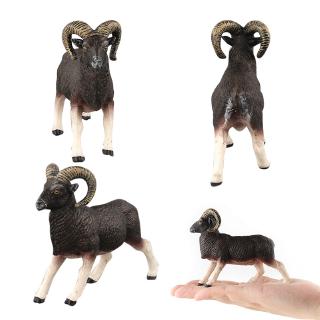 Bé Tô Màu Động Vật Hoang Dã Châu Phi