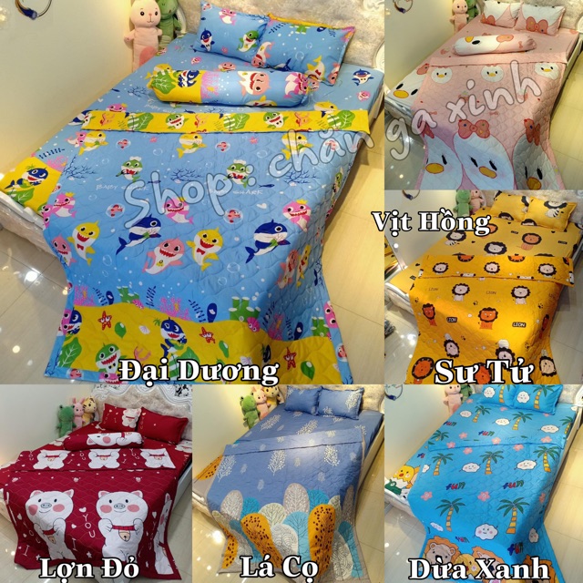 Bộ chăn hè ga gối tặng 1 vỏ gối ôm poly cotton set 5 món