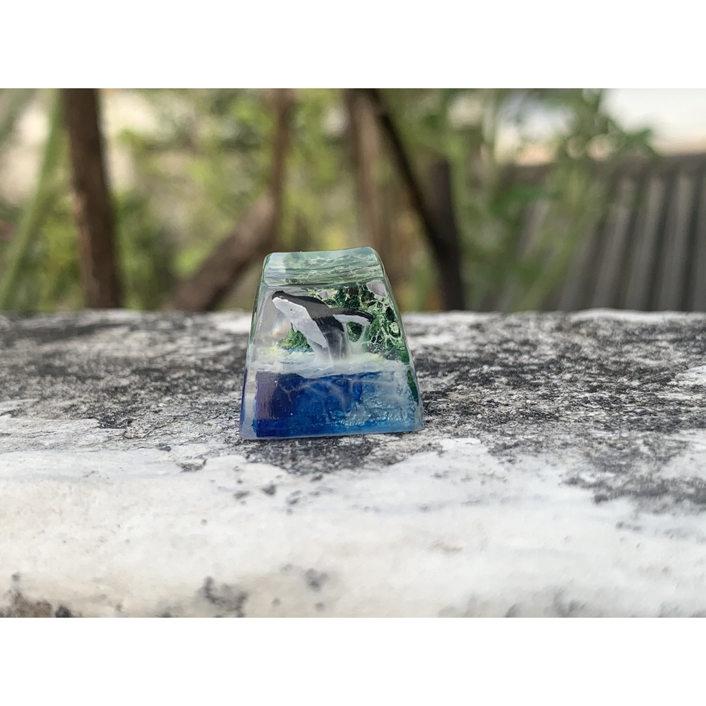 Keycap cá voi