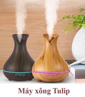 MÁY XÔNG TINH DẦU