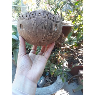 Chậu Gáo Dừa Kiểu