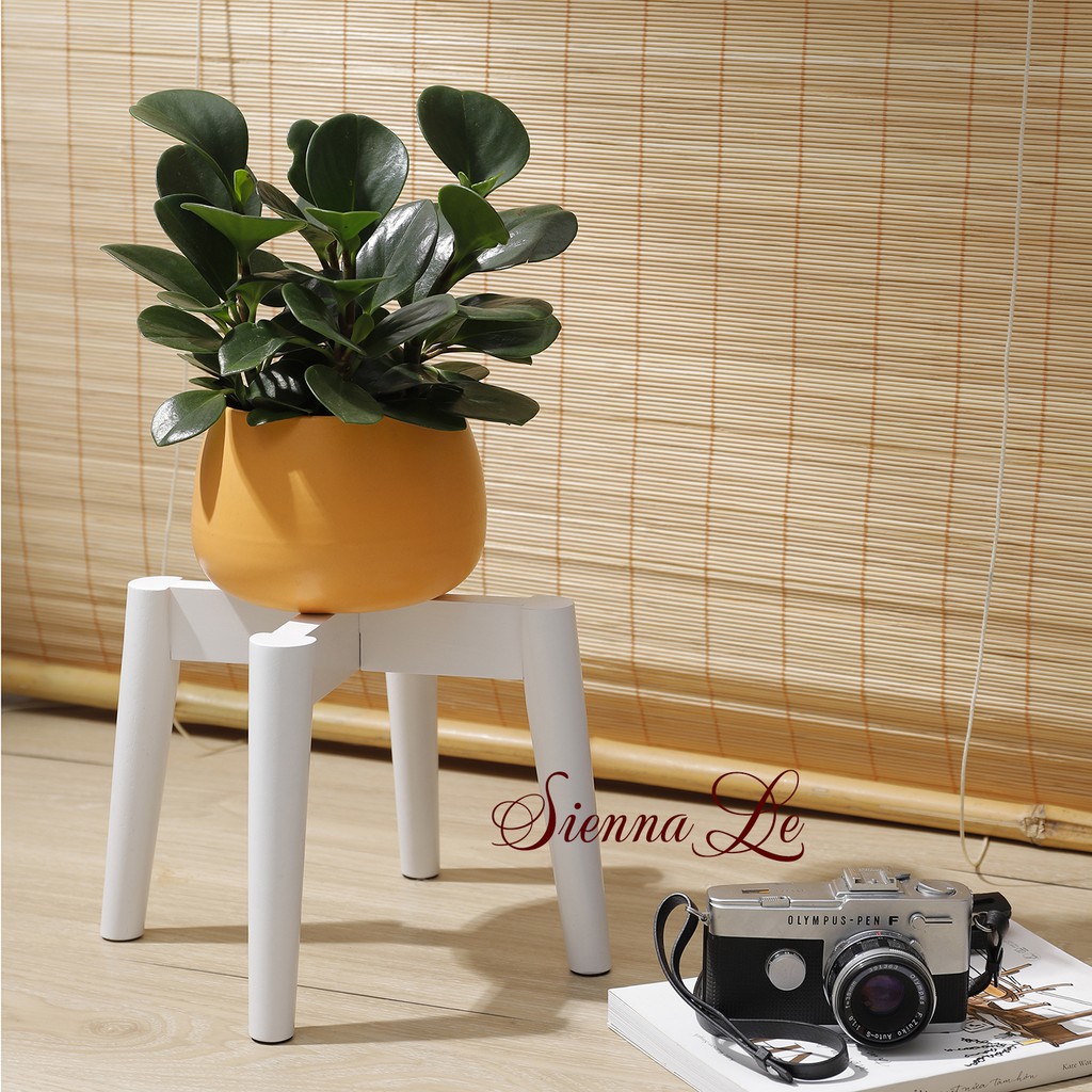 Sienna Le  Giá Đỡ Chậu Cây, Đôn Gỗ Để Chậu Hoa Để Bàn - Cao 19 cm x Rộng 24 cm