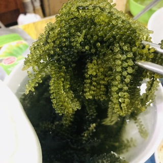 Đường thốt nốt 500g-hà nội
