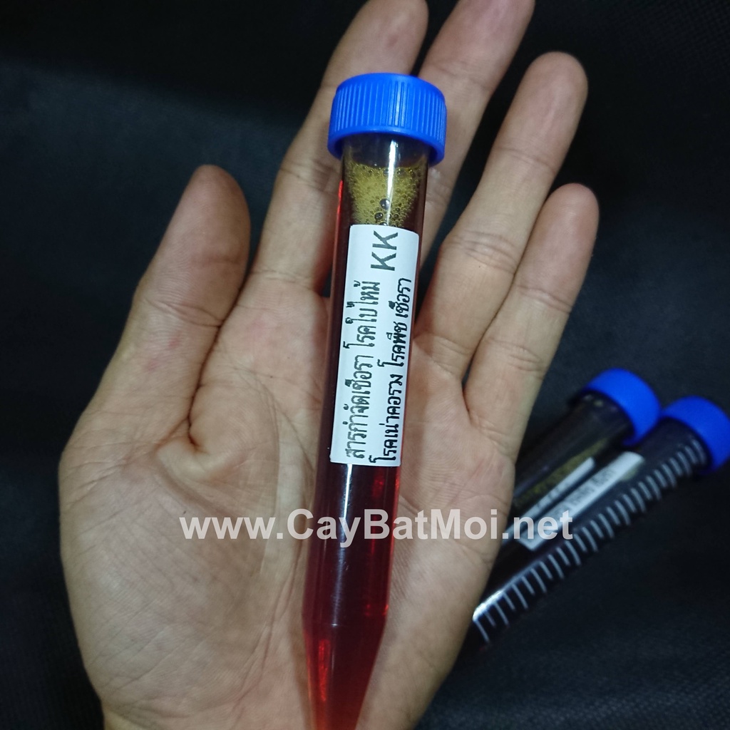 Sirup Phòng Trị Bệnh Nấm Khuẩn Cho Cây Bẫy Kẹp
