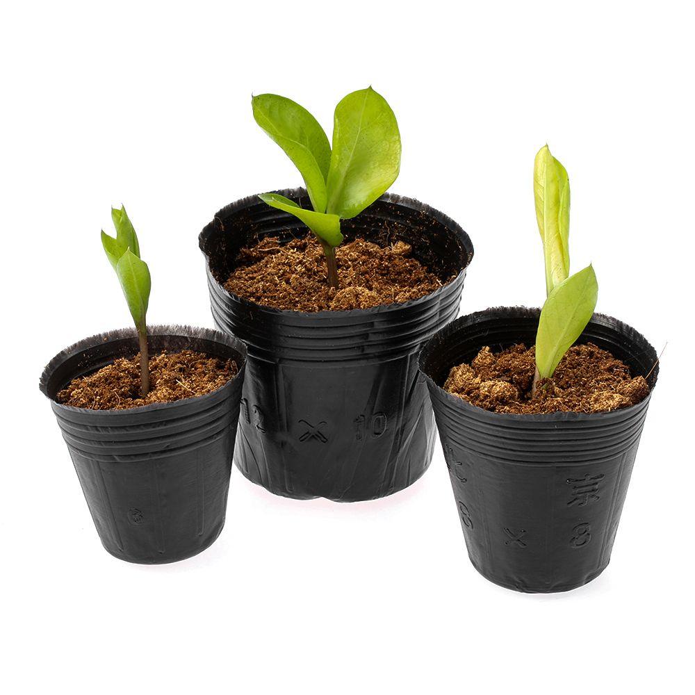 DORAW 50pcs Seedling-raising Bag Garden Supply Seedlings Lift Bags Potted Plant Grow Flowers Pouch