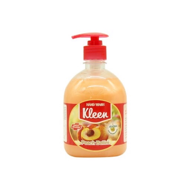 Nước rửa tay Kleen 500ml