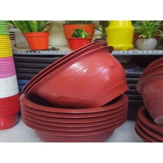 Combo 10 chậu nhựa trồng hoa. T48 cm