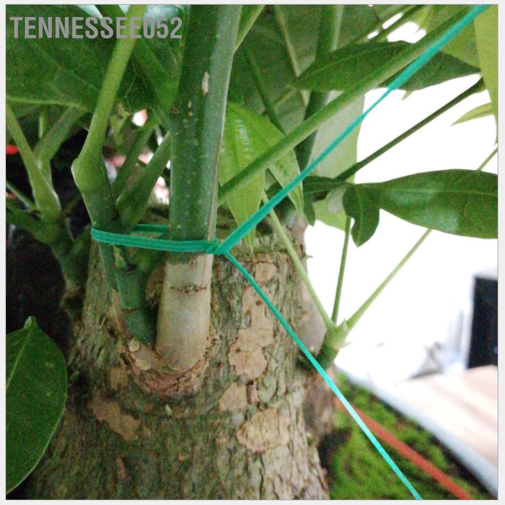 Tennessee052 Nhà máy Twist Tie Nhựa Sắt Làm vườn Green Wire for DIY Flower fixed Plant Support