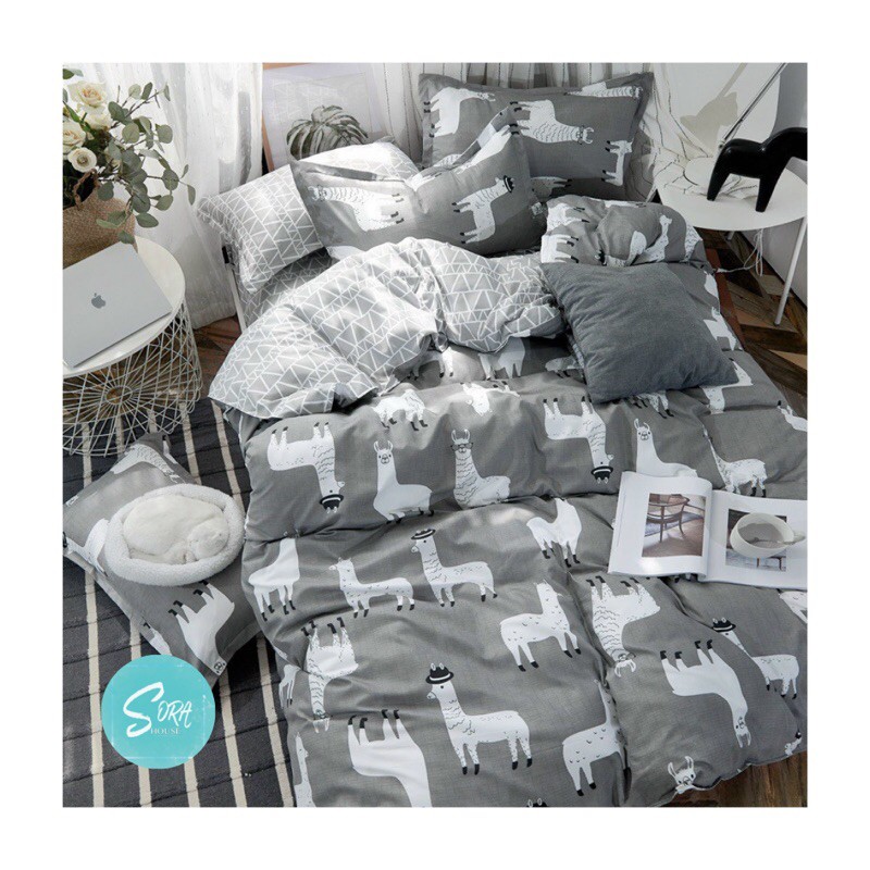 Set chăn ga Poly cừu