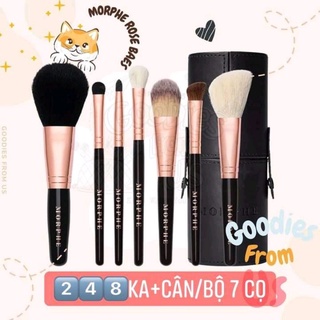 BỌ CỌ MORPHE