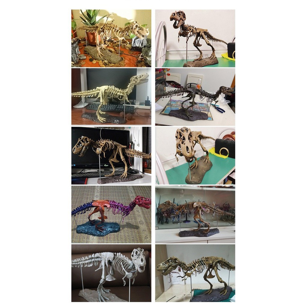 LẮP RÁP MÔ HÌNH XƯƠNG KHỦNG LONG T-REX (4D ASSEMBLED TRIANGLE DRAGON FOSSIL DINOSAUR SKELETON MODEL)