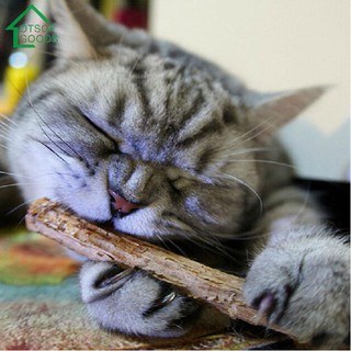 15/20pcs Natural Fruit Matatabi PetCat Snacks Sticks Catnip Molar Rod