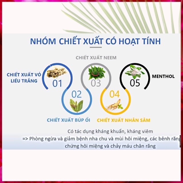 [KHÔNG CHỨA ĐỘC HẠI] Kem Đánh Răng Người Lớn Cao Cấp Strongz Teeth Tworld An Toàn Giúp Trắng Răng, Hôi Miệng, Viêm Lợi