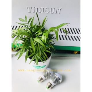 Bộ 2 bóng đèn LED siêu sáng TIDISUN 12VDC - 3W