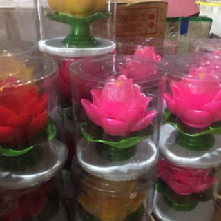 SỈ LẺ Nến hoa sen ( đủ kích cỡ)