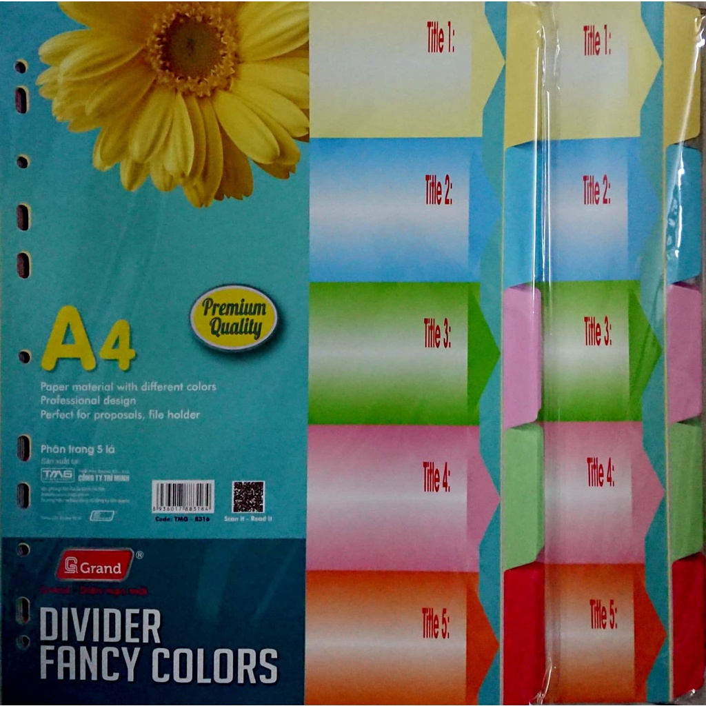 Bìa phân trang 5 màu giấy Grand