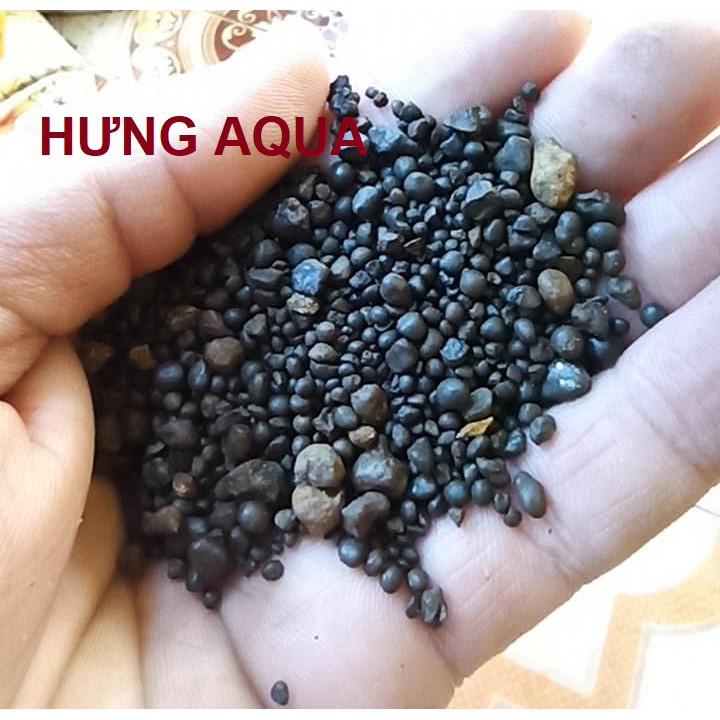 Sỏi suối nâu - sỏi suối trải nền trang trí bể cá, hồ cá thủy sinh, hồ nuôi tép 500g - 1kg - 2kg