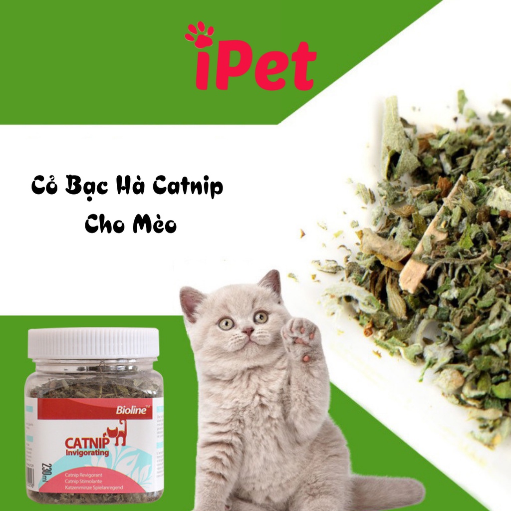 Cỏ Bạc Hà Catnip Cho Mèo Dạng Hộp 250ml - iPet Shop