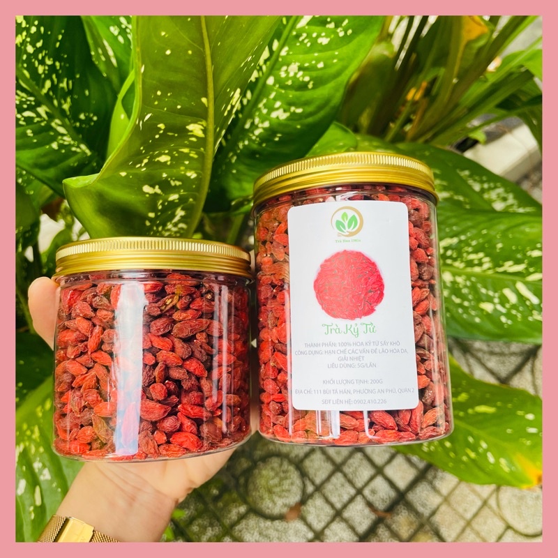 Trà kỷ tử-Goji berry tea