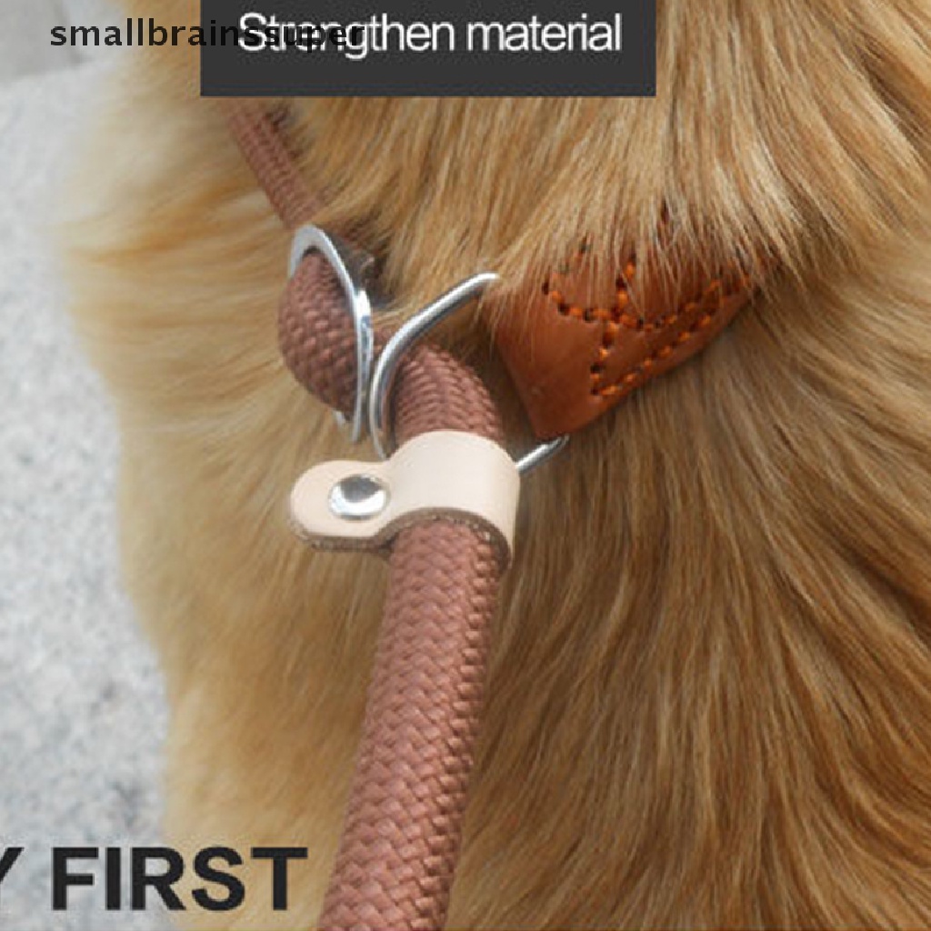 Dây Dắt Thú Cưng Đi Dạo Bằng Nilon Có Dây Xích Chống Trượt