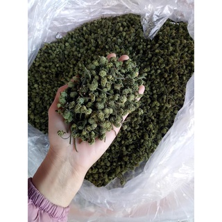 Nụ hoa tam thất hàng chuẩn tây bắc 100gram.