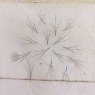 Fan 3D fan volume sole hộp 1000 fan