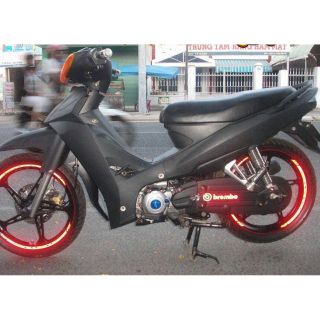 Dàn áo Sirius đen nhám lô loại 1