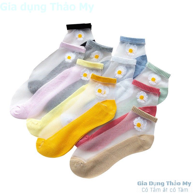 Tất Lưới Ren Hoa Cúc Thoáng Mát Dễ Thương Hot Trend -Set 10 đôi