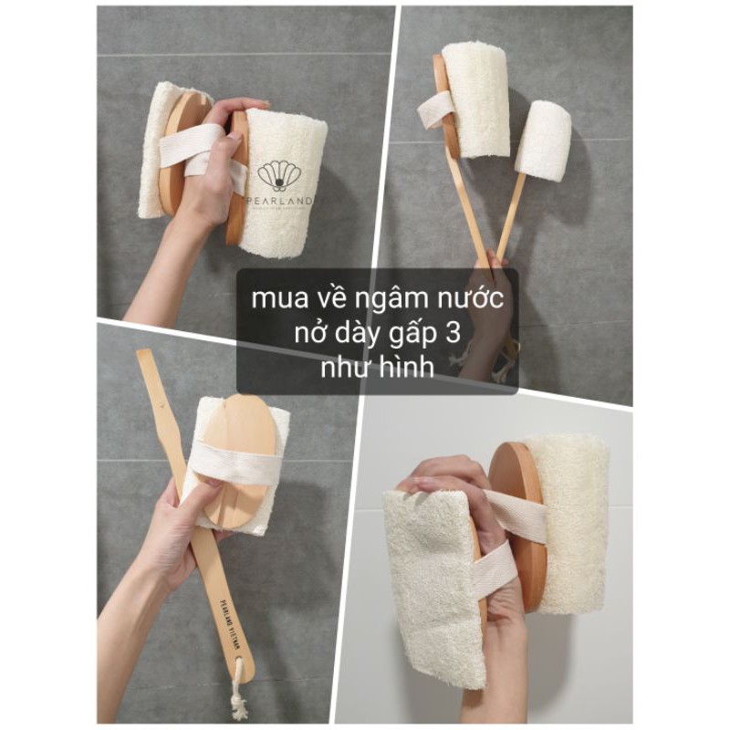 Bàn Chải Kỳ Lưng - Bàn Chải Tắm - Tẩy Da Chết Từ Xơ Mướp Tự Nhiên | BigBuy360 - bigbuy360.vn