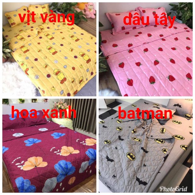 Bộ chăn ga hè 5 món cotton poly