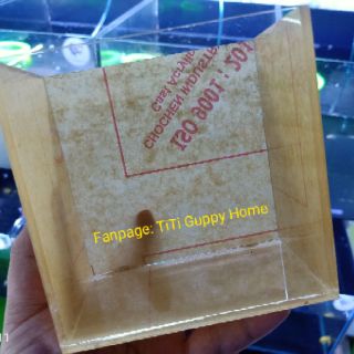 Hồ Show Cá Acrylic