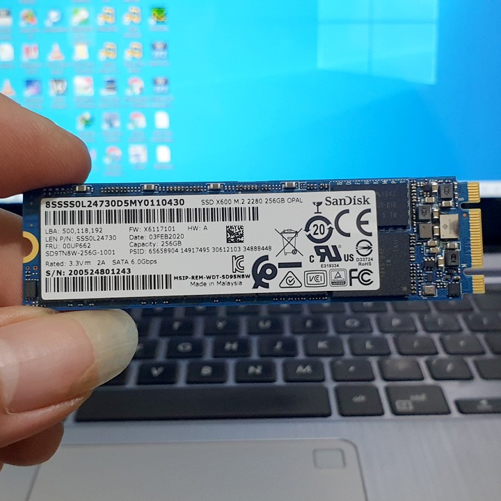 [Mã 1511ELSALE hoàn 7% đơn 300K] Ổ cứng SSD M.2 SATA San.Disk X600 256GB - bảo hành 3 năm | BigBuy360 - bigbuy360.vn