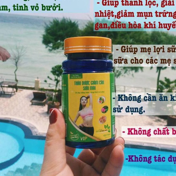 Thảo mộc Gia Truyền Sơn Mai, Cửa hàng trực tuyến | BigBuy360 - bigbuy360.vn