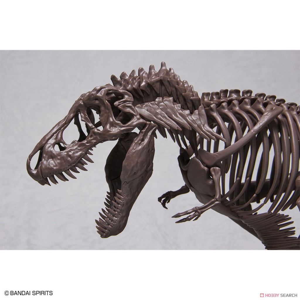 Mô Hình Lắp Ráp Imaginary Skeleton 1/32 Tyrannosaurus