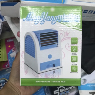 Combo Quạt Đá Alice Trần