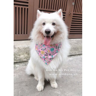 khăn choàn cổ cho chó size lớn Samoyed & Alaska