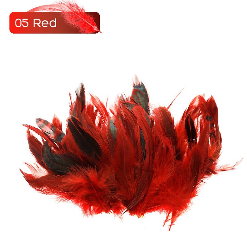 Túi 100 lông vũ trang trí đa năng tiện dụng