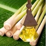 tinh dầu chanh sả treo xe