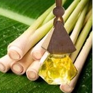 Tinh dầu chanh sả treo xe