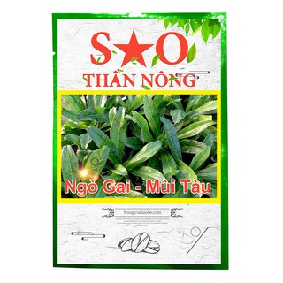 Hạt giống Ngò Gai - Mùi tàu Sao Thần Nông thời vụ quanh năm