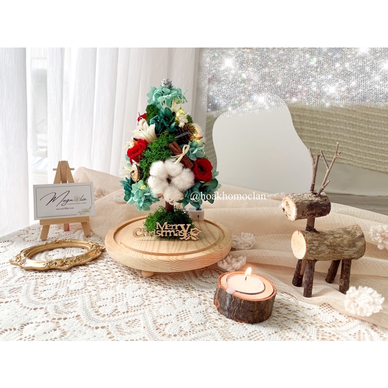 Cây thông Giáng sinh Noel làm bằng hoa khô cao cấp, trái châu trang trí decor phòng ngủ, quà tặng giáng sinh