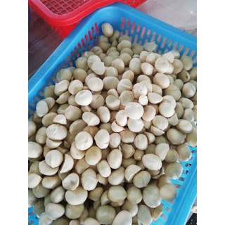 500G MẮC CA NHÂN SẤY ĐĂK LĂK LOẠI 1