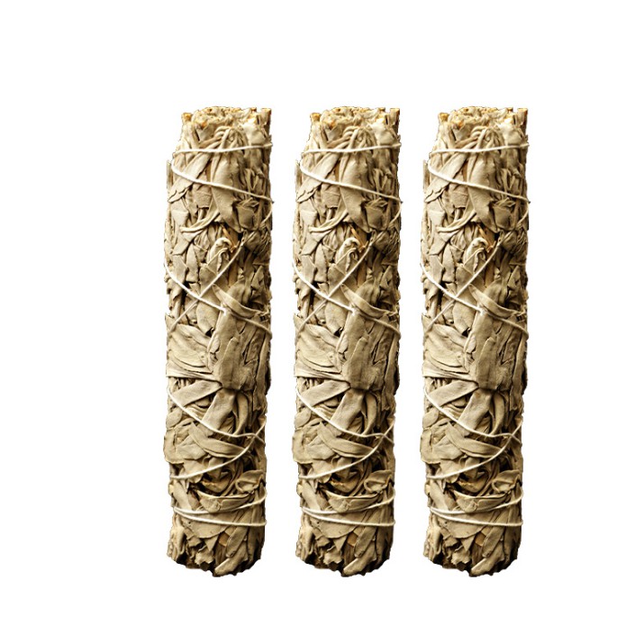 Bó lá xô thơm white sage 18-22cm