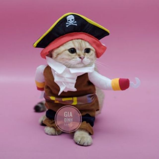 Áo chó mèo cosplay cướp biển A44