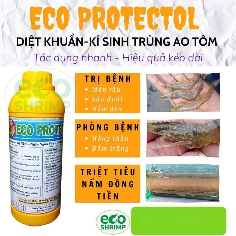 Protectol Khử Khuẩn Kháng Nấm Ao Nuôi thủy sản