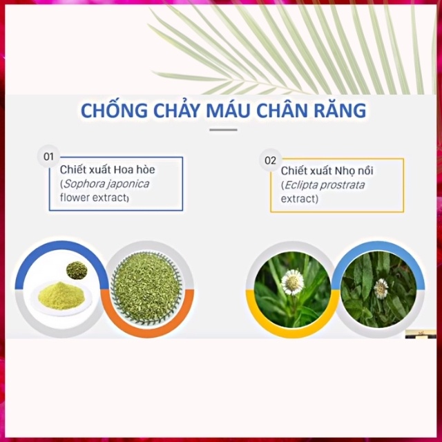 [CAO CẤP-KHÔNG ĐỘC] Kem Đánh Răng Trẻ Em An Toàn Nhất Cho Bé, Chống Sâu răng, Ngăn Mảng Bám Chảy Máu Chân Răng Hôi Miệng