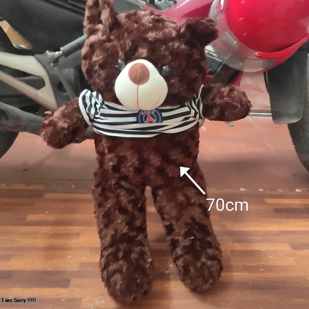 Gấu Bông Teddy Khổ Vải 80cm cao 60cm Cực Dễ Thương Chât Liệu Lông Mịn