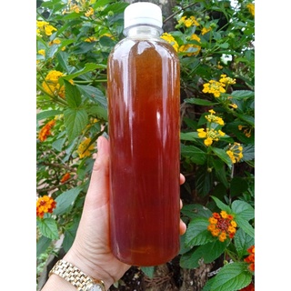 [Giá tại trại] Mật ong hoa nhãn/mật nhãn 0.5 lit